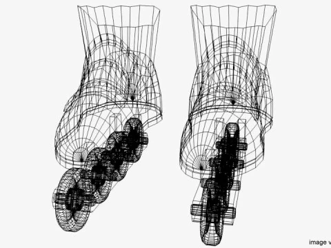 Inline Skates 3D Model
