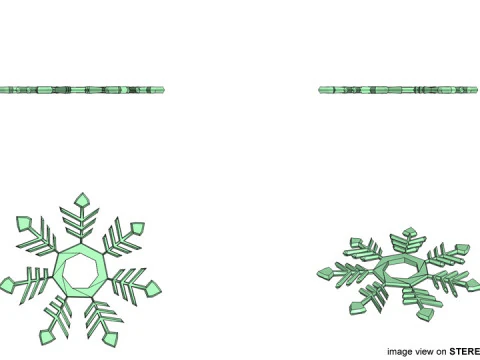 スノーフレーク - タイプ 5 3Dモデル