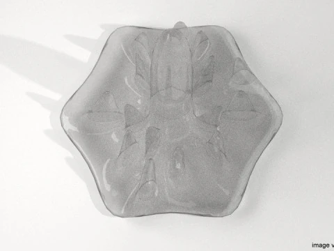 Snowflake - Type 10 3D Model