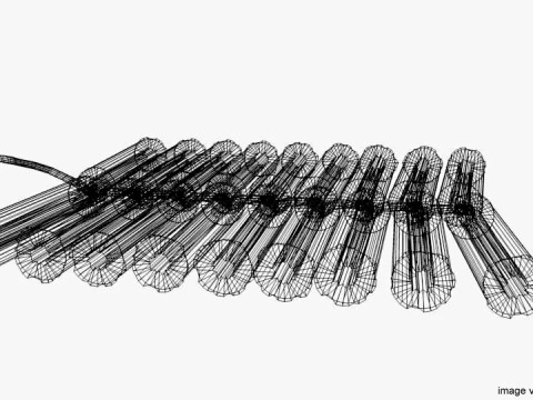 Firecracker - Cake 3D Model