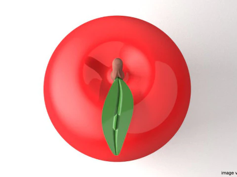 Fruit - Apple 3D Model
