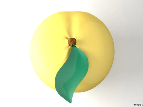 Fruit - Apricot 3D Model