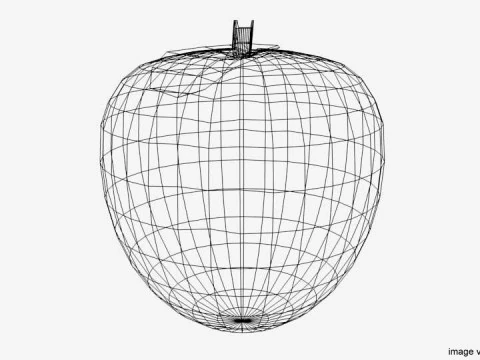 Fruit - Apricot 3D Model