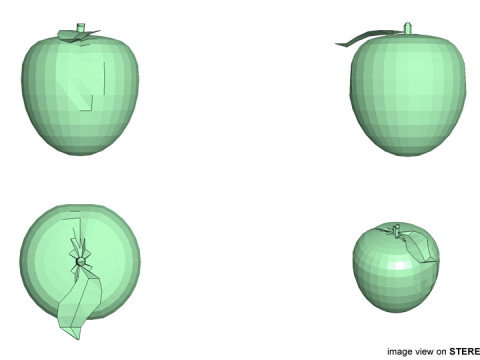 Fruit - Apricot Modello 3D