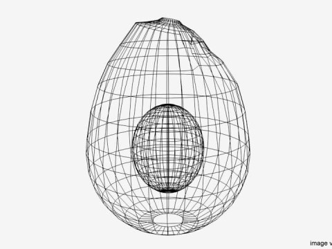 Fruit - Avocado 3Dモデル