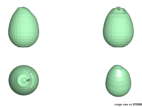 Fruit - Avocado 3D Model