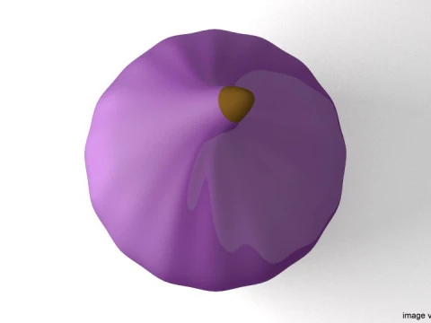 Fruit - Figs 3D Model