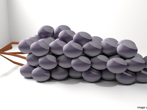 Fruit - Grape 3D Модель