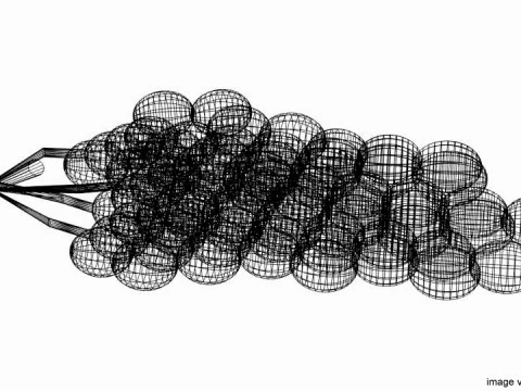 Fruta - Uva Modelo 3D