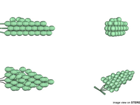 Fruta - Uva Modelo 3D