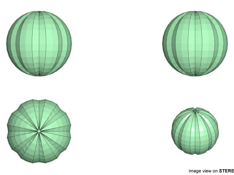Fruit - Oranges 3D Model