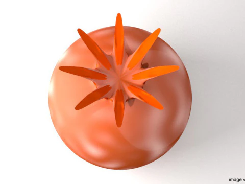 Fruit - Pomegranates 3D Model