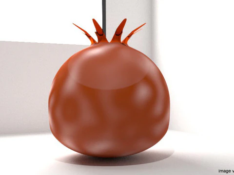 Fruit - Pomegranates 3D Model