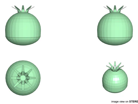Fruit - Pomegranates 3D Model