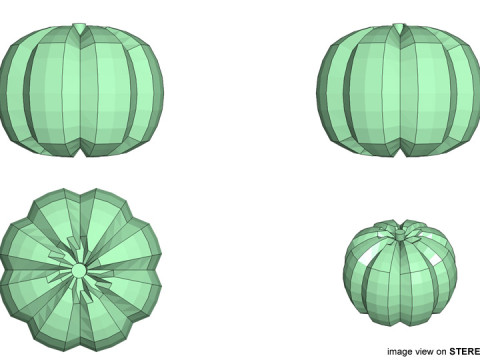 Fruit - Pumpkin 3Dモデル