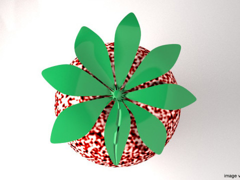Fruit - Strawberry Modello 3D