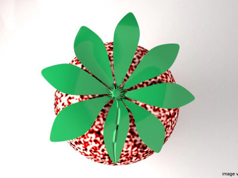 Fruit - Strawberry 3D Model