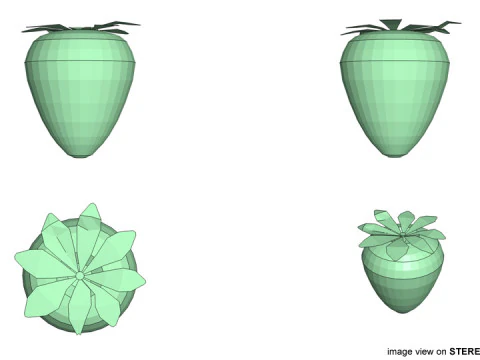 Fruit - Strawberry 3D Model