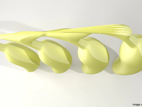 Fruit - Banana 3D Model