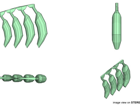 Fruit - Banana Modello 3D
