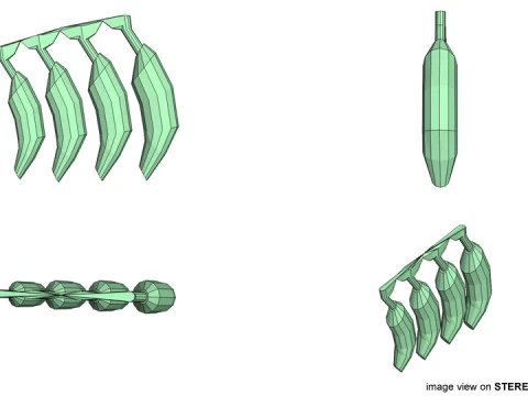 Fruit - Banana 3D Model