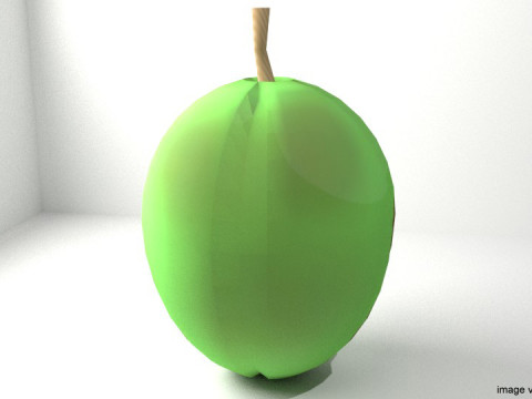 Fruit - Coconut 3Dモデル