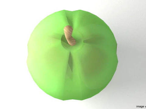 フルーツ - ココナッツ 3Dモデル