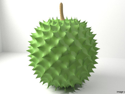 Fruit - Durian 3D Model