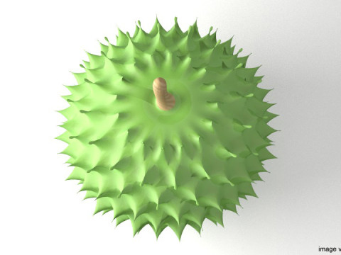 Fruit - Durian 3Dモデル