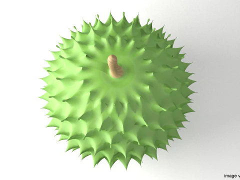 Fruit - Durian 3D Model