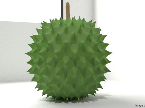 Fruit - Durian 3D Model
