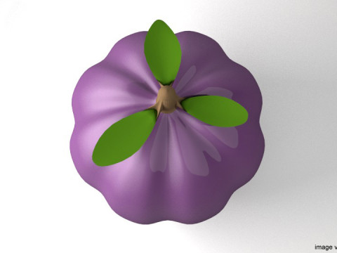 Fruit - Mangosteen 3Dモデル