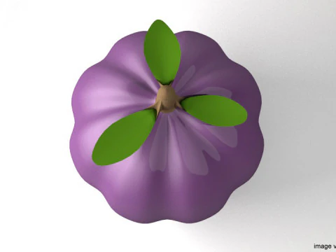 Fruit - Mangosteen 3D Model