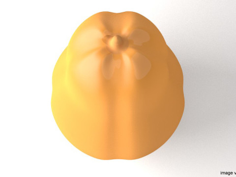 Fruit - Papaya Modèle 3D