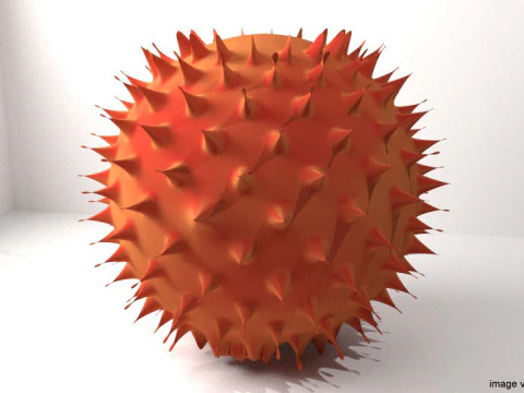 Owoce - Rambutan Model 3D