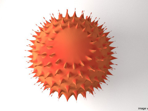 Fruit - Rambutan 3Dモデル