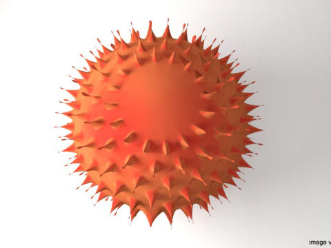 フルーツ - ランブータン 3Dモデル