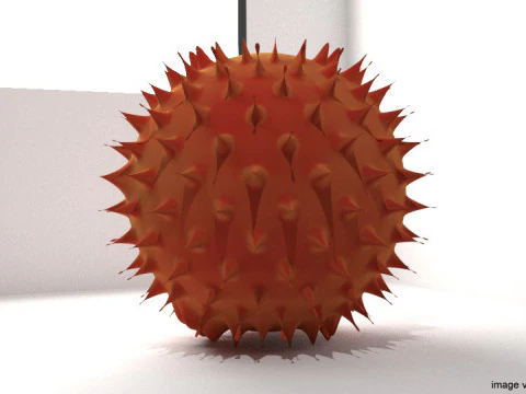 フルーツ - ランブータン 3Dモデル