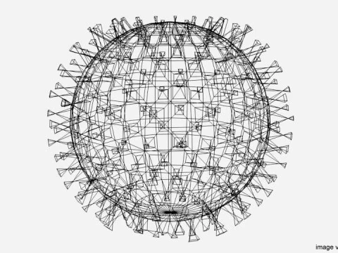 フルーツ - ランブータン 3Dモデル