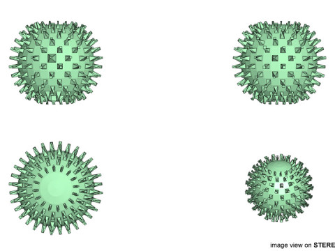 Fruit - Rambutan 3Dモデル