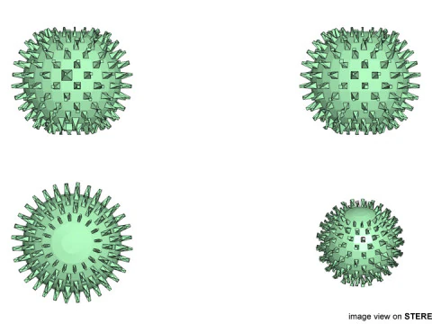フルーツ - ランブータン 3Dモデル