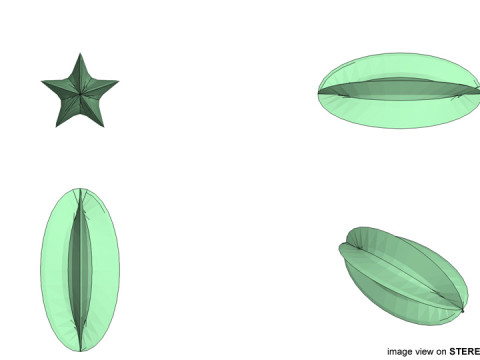 Fruit - Starfruit 3Dモデル