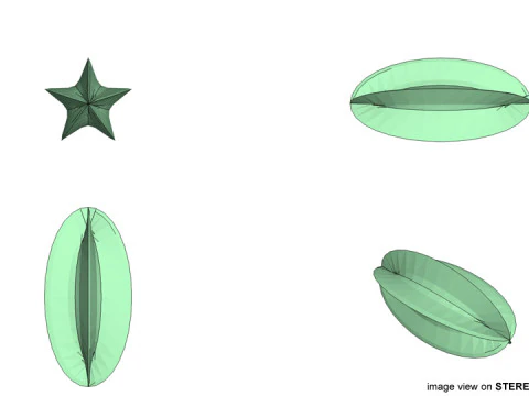 フルーツ - スターフルーツ 3Dモデル