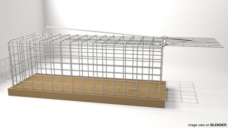 Animal Trapping - Cage-Trap 3Dモデル .c4d .max .obj .3ds .fbx .stl .blend 