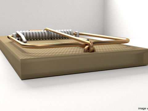 Animal Trapping - Mousetrap 3Dモデル