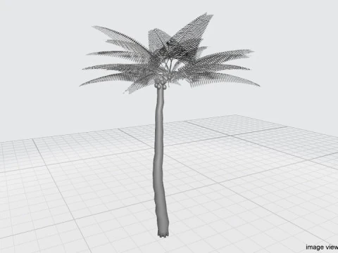 ヤシの木 - ココナッツ 3Dモデル