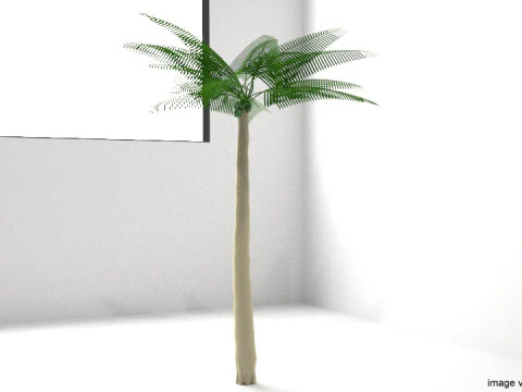 ヤシの木 - ココナッツ 3Dモデル