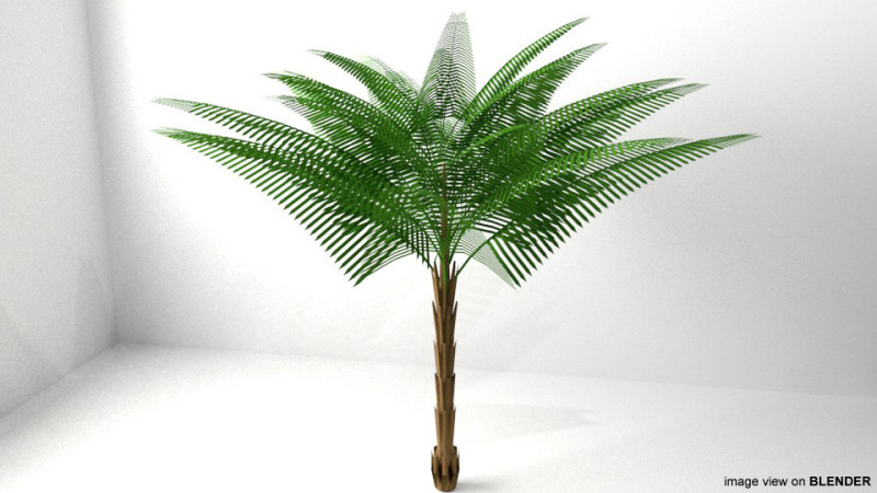 Palm Tree - Date Modello 3D .c4d .max .obj .3ds .fbx .stl .blend 