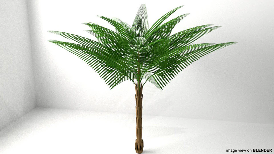 Palm Tree - Date 3D Model .c4d .max .obj .3ds .fbx .stl .blend 