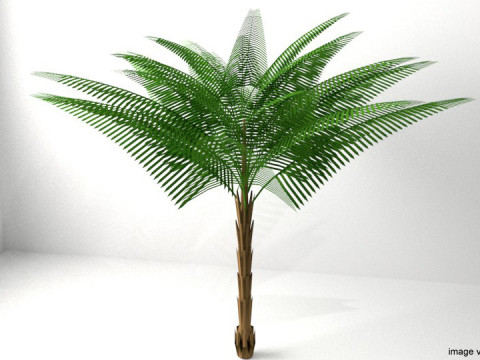 Palm Tree - Date 3D Model